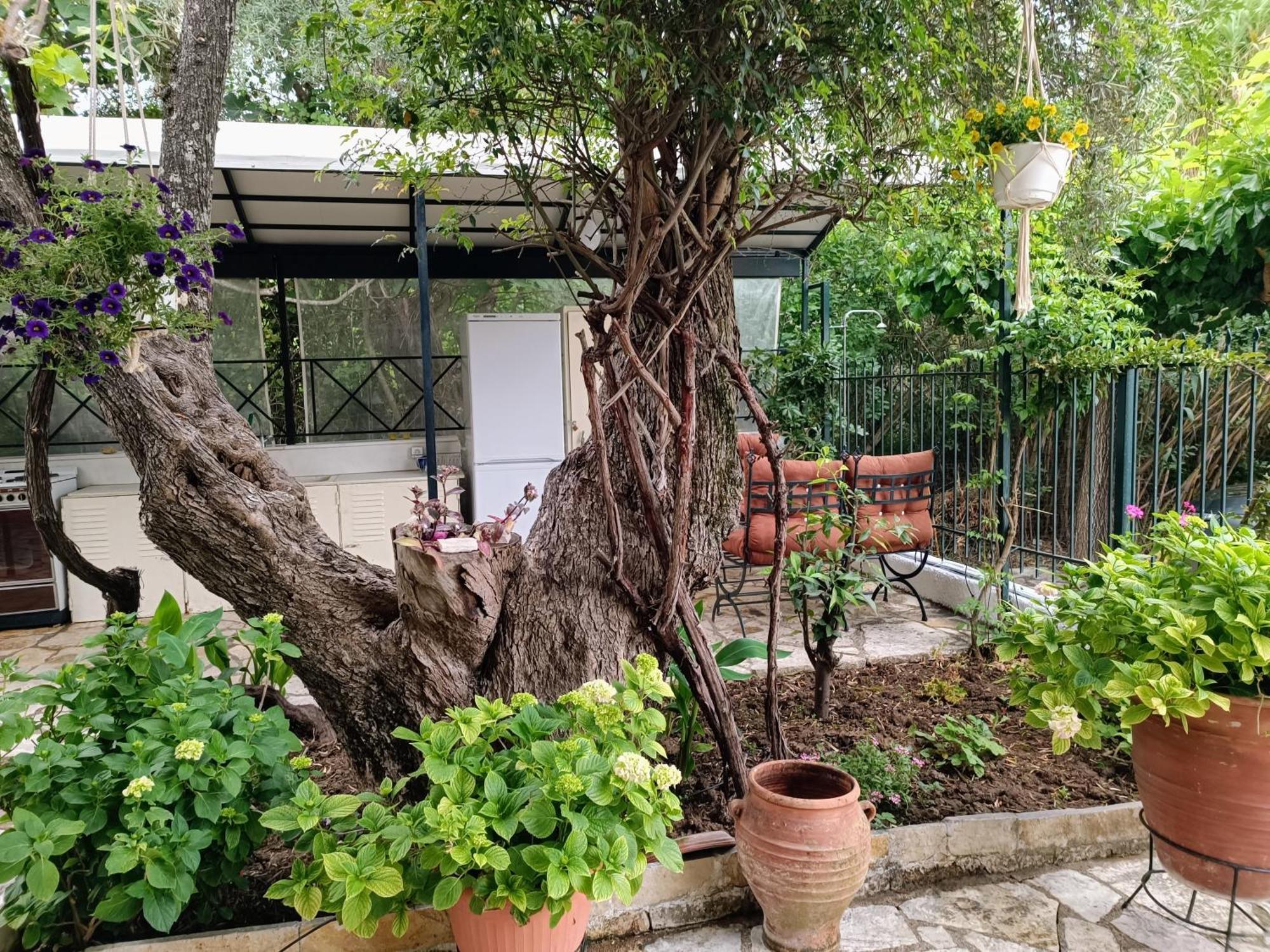 Casa Trizoni Nikianaアパートメント エクステリア 写真
